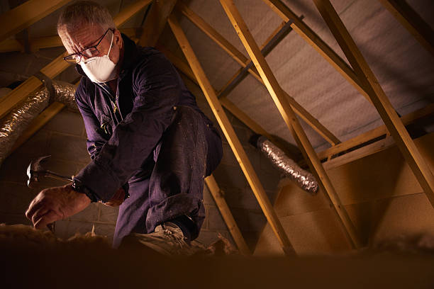 Best Insulation Installation Services in Sonoma State University, CA